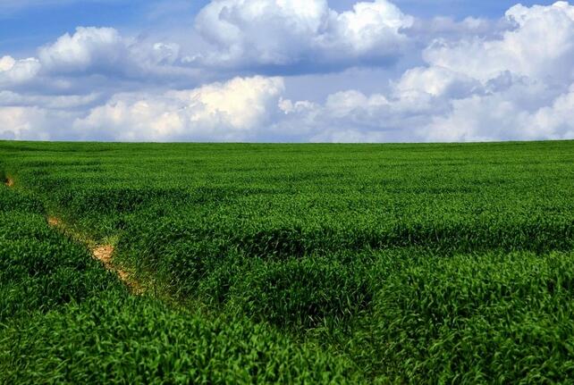 北京市凯诺律师事务所：在征地拆迁程序中,需要注意哪些问题