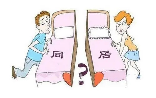 未婚同居的财产如何分割？