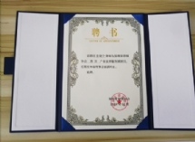 荣誉证书 共5张