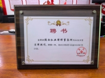 荣誉证书 共7张