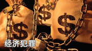 经济犯罪控告照片展示